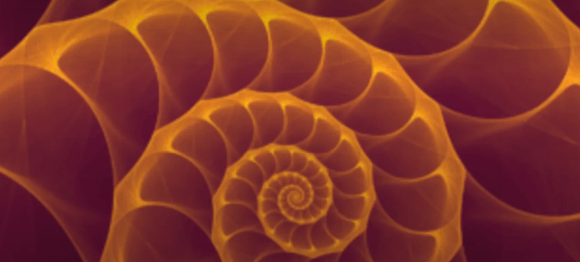 Fibonacci Nautilus