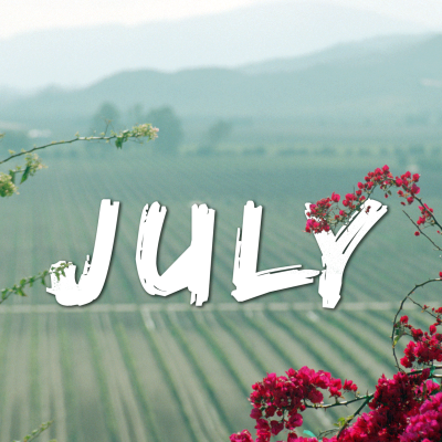 ***Valle Guadalupe, Baja California Vineyards photo: David Crellen July 2023