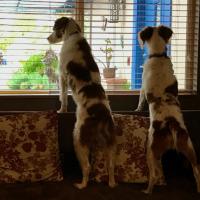 Are they ever coming home? Are they ever coming home?