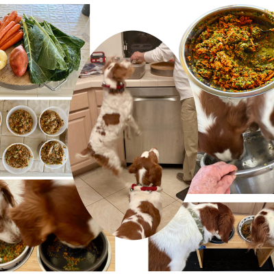 BARF Diet Collage BARF Diet Collage