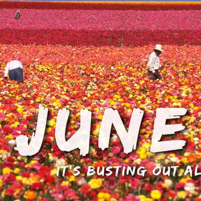 June is busting out all over